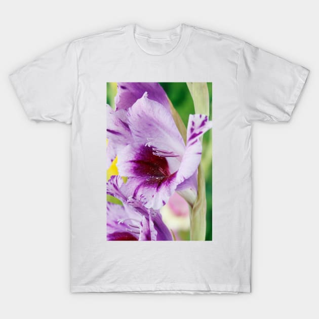 Gladiolus  'Passos' T-Shirt by chrisburrows